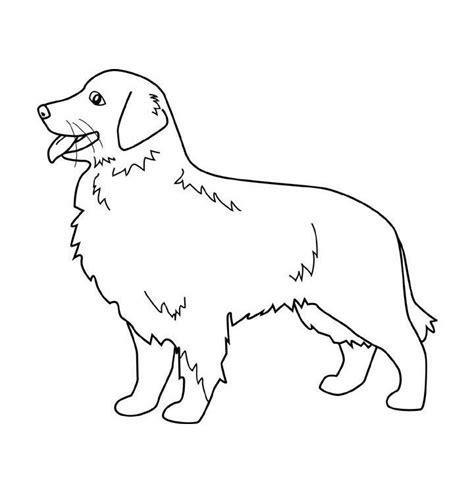 Perro labrador pequeño para colorear - Imagui: Dibujar Fácil, dibujos de Un Golden, como dibujar Un Golden paso a paso para colorear