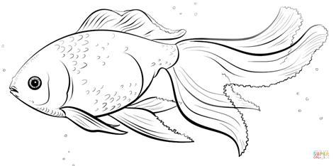 Ausmalbild: Goldfisch | Ausmalbilder kostenlos zum ausdrucken: Dibujar y Colorear Fácil, dibujos de Un Goldfish, como dibujar Un Goldfish para colorear e imprimir