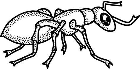 Dibujos de escarabajos » ESCARABAJOPEDIA: Aprende a Dibujar y Colorear Fácil, dibujos de Un Gorgojo Azul, como dibujar Un Gorgojo Azul paso a paso para colorear