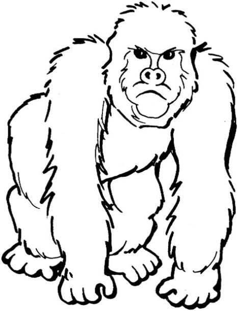 dibujos de gorilas para colorear e imprimir: Dibujar Fácil, dibujos de Un Gorila Para Niños, como dibujar Un Gorila Para Niños para colorear