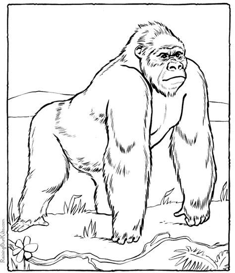 Gorilas para colorear - Imagui: Aprende como Dibujar y Colorear Fácil con este Paso a Paso, dibujos de Un Gorila Realista, como dibujar Un Gorila Realista para colorear e imprimir