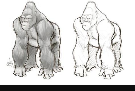 Gorilla Sketch by LuigiL | Maravilhas: Aprender como Dibujar Fácil con este Paso a Paso, dibujos de Un Gorila Realista, como dibujar Un Gorila Realista paso a paso para colorear