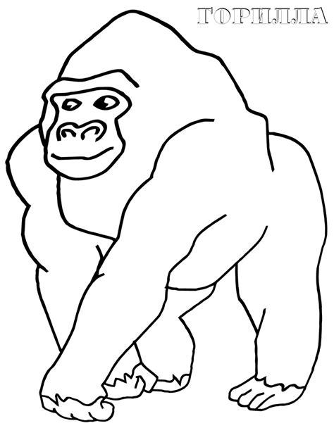 Dibujos infantiles para colorear de gorilas: Dibujar Fácil con este Paso a Paso, dibujos de Un Gorilla, como dibujar Un Gorilla para colorear e imprimir