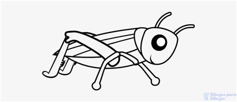 磊 Dibujos de grillos【+75】facil tutorial: Dibujar Fácil con este Paso a Paso, dibujos de Un Grillo Para Niños, como dibujar Un Grillo Para Niños paso a paso para colorear