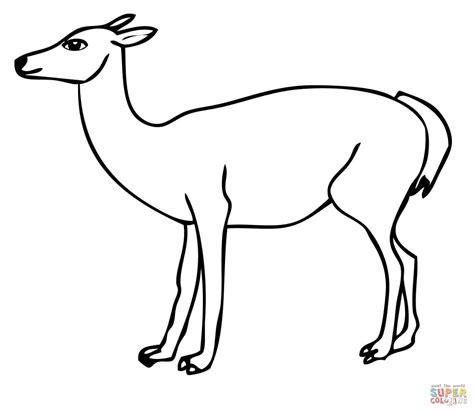 Dibujo de Guanaco de Sudamérica para colorear | Dibujos: Aprende como Dibujar Fácil con este Paso a Paso, dibujos de Un Guanaco, como dibujar Un Guanaco para colorear