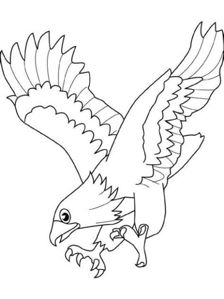 Halcón (Animales) – Colorear dibujos gratis: Dibujar y Colorear Fácil con este Paso a Paso, dibujos de Un Halcon, como dibujar Un Halcon para colorear