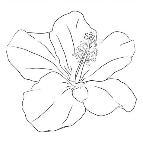 Flor de hibisco hawaiano. Blanco y negro para colorear: Aprender a Dibujar y Colorear Fácil, dibujos de Un Hibisco, como dibujar Un Hibisco paso a paso para colorear