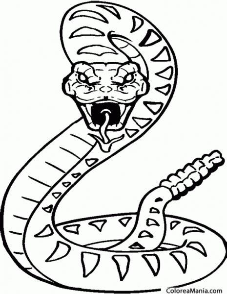 Imagenes Para Colorear Serpiente: Aprender como Dibujar Fácil, dibujos de Un Hocico, como dibujar Un Hocico para colorear