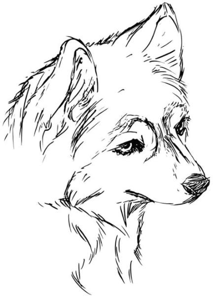 Dibujos de Husky para colorear — Imprimir y pintar: Dibujar y Colorear Fácil con este Paso a Paso, dibujos de Un Husky, como dibujar Un Husky paso a paso para colorear