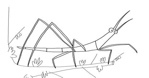 MILÁ & TETÉ: JC: El bicho-palo: Aprende como Dibujar Fácil con este Paso a Paso, dibujos de Un Insecto Palo, como dibujar Un Insecto Palo para colorear e imprimir