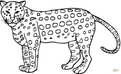 Dibujo de Guepardo a lunares para colorear | Dibujos para: Aprende a Dibujar y Colorear Fácil, dibujos de Un Jaguar Realista, como dibujar Un Jaguar Realista para colorear e imprimir