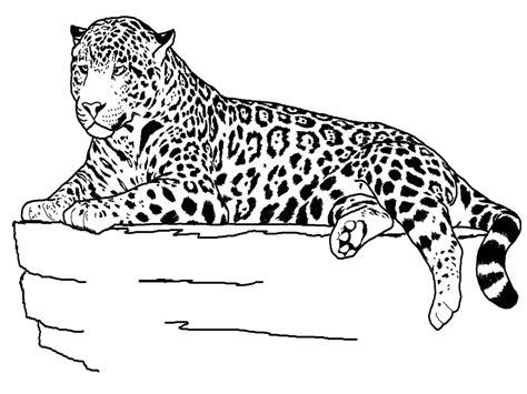 Dibujos de animales para colorear: Aprender como Dibujar y Colorear Fácil, dibujos de Un Jaguar Realista, como dibujar Un Jaguar Realista paso a paso para colorear