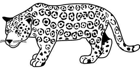 Jaguar Para Colorear E Imprimir / Letra Del Jaguar: Aprende a Dibujar y Colorear Fácil, dibujos de Un Jaguar Realista, como dibujar Un Jaguar Realista para colorear