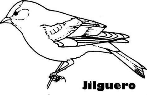 JILGUEROS COLOREAR DIBUJOS: Dibujar Fácil, dibujos de Un Jilguero, como dibujar Un Jilguero para colorear