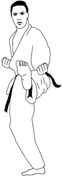 Dibujo 17 de judo para colorear: Aprende a Dibujar Fácil, dibujos de Un Judoka, como dibujar Un Judoka paso a paso para colorear