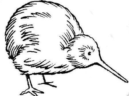 Cómo dibujar Un Kiwi Animal 】 Paso a Paso Muy Fácil 2023 - Dibuja Fácil