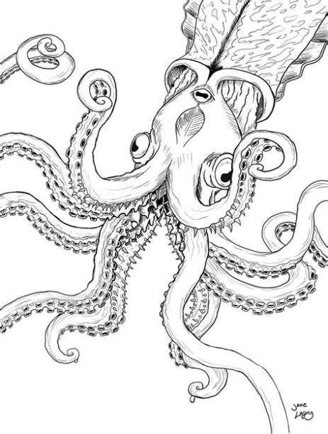 kraken - Google Search | Kraken. Animales mitológicos: Aprende como Dibujar y Colorear Fácil, dibujos de Un Kraken, como dibujar Un Kraken paso a paso para colorear