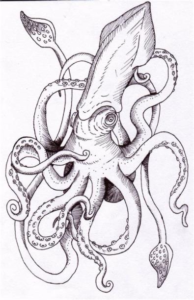 Kraken by modifiedMONSTER.deviantart.com on @deviantART: Aprende como Dibujar y Colorear Fácil, dibujos de Un Kraken, como dibujar Un Kraken para colorear