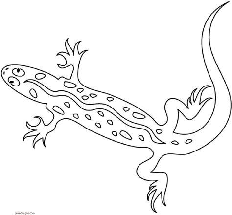 Dibujos de lagartos para colorear: Aprender como Dibujar Fácil con este Paso a Paso, dibujos de Un Lagarto Para Niños, como dibujar Un Lagarto Para Niños paso a paso para colorear