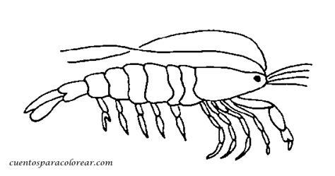 Dibujos para colorear crustáceos: Dibujar Fácil, dibujos de Un Langostino, como dibujar Un Langostino para colorear e imprimir