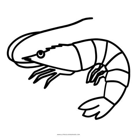 Shrimp Coloring Page - Ultra Coloring Pages: Dibujar Fácil, dibujos de Un Langostino, como dibujar Un Langostino para colorear