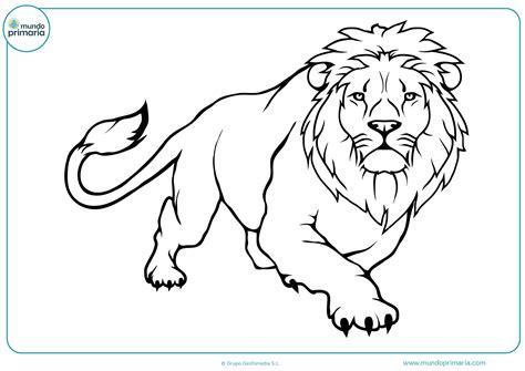 Dibujos de leones para Colorear a Lápiz o como quieras: Dibujar Fácil, dibujos de Un Leon Rugiendo, como dibujar Un Leon Rugiendo paso a paso para colorear