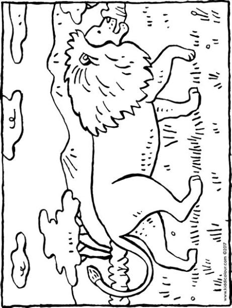 un león en la sabana - kiddicolour: Aprender a Dibujar y Colorear Fácil, dibujos de Un Leon Y Bonito, como dibujar Un Leon Y Bonito paso a paso para colorear