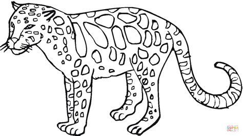 Dibujo de Dibujo de un Leopardo para colorear | Dibujos: Dibujar Fácil, dibujos de Un Leopardo De Las Nieves, como dibujar Un Leopardo De Las Nieves para colorear e imprimir