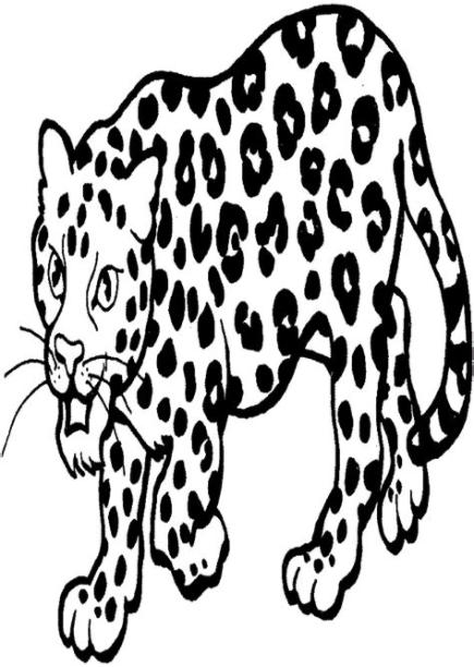Leopardo para colorear - Dibujosparacolorear.eu: Aprende a Dibujar y Colorear Fácil con este Paso a Paso, dibujos de Un Leopardo Para Niños, como dibujar Un Leopardo Para Niños para colorear