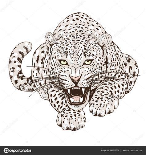De Leopardos Para Colorear: Dibujar Fácil, dibujos de Un Leopardo Realista, como dibujar Un Leopardo Realista para colorear e imprimir