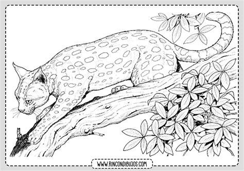 Dibujo de Leopardo Salvaje para colorear - Rincon Dibujos: Dibujar y Colorear Fácil, dibujos de Un Leopardo Realista, como dibujar Un Leopardo Realista paso a paso para colorear