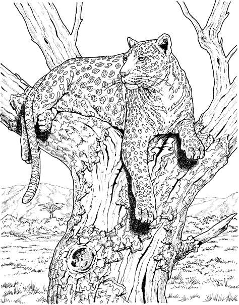 Leopardo #40 (Animales) – Páginas para colorear: Dibujar Fácil con este Paso a Paso, dibujos de Un Leopardo Realista, como dibujar Un Leopardo Realista para colorear