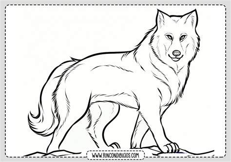 dibujos de lobos animados para colorear - Búsqueda de: Aprender como Dibujar y Colorear Fácil, dibujos de Un Lobito, como dibujar Un Lobito para colorear e imprimir
