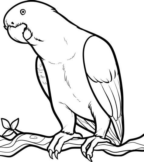 Pin by FELIX JOSE on dibujo de loro | Animal coloring: Dibujar Fácil, dibujos de Un Loro Volando, como dibujar Un Loro Volando para colorear