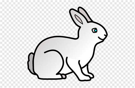 Conejo doméstico para colorear conejito de pascua dibujo: Dibujar Fácil con este Paso a Paso, dibujos de Un Mamifero, como dibujar Un Mamifero para colorear e imprimir