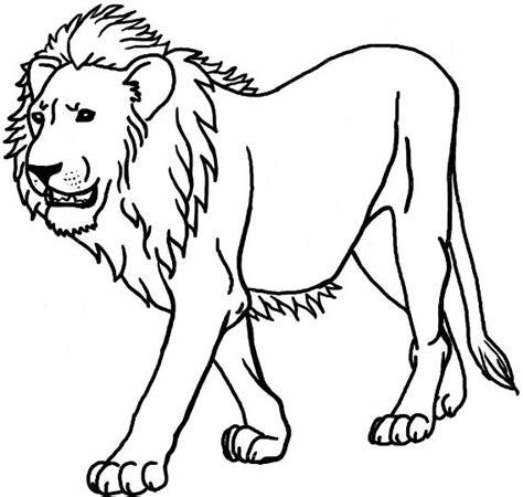 Dibujos de animales mamíferos para colorear - Reino animal: Aprende a Dibujar Fácil con este Paso a Paso, dibujos de Un Mamifero, como dibujar Un Mamifero para colorear