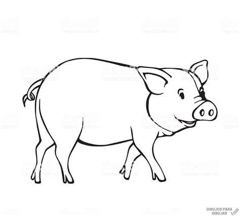 磊 Dibujos de cerdos【190】para dibujar: Dibujar y Colorear Fácil con este Paso a Paso, dibujos de Un Marranito, como dibujar Un Marranito para colorear e imprimir