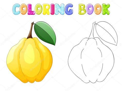 Membrillo para colorear en blanco — Vector de stock: Dibujar Fácil, dibujos de Un Membrillo, como dibujar Un Membrillo paso a paso para colorear