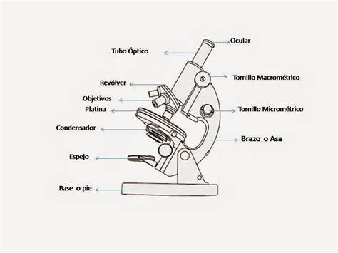 Enseñanza de la Biologia: El Microscopio Óptico y sus: Dibujar y Colorear Fácil, dibujos de Un Microscopio Con Sus Partes, como dibujar Un Microscopio Con Sus Partes paso a paso para colorear