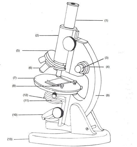Microscopio Binocular Y Sus Partes Para Dibujar - Find Gallery: Aprende a Dibujar Fácil, dibujos de Un Microscopio Y Sus Partes, como dibujar Un Microscopio Y Sus Partes para colorear e imprimir