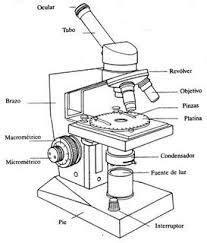 Resultado de imagen para microscopio para colorear y sus: Dibujar y Colorear Fácil con este Paso a Paso, dibujos de Un Microscopio Y Sus Partes, como dibujar Un Microscopio Y Sus Partes paso a paso para colorear