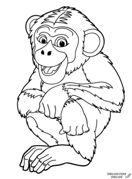 磊【+2150】Los mejores dibujos de Monos sencillos ⚡️: Dibujar y Colorear Fácil con este Paso a Paso, dibujos de Un Mono Araña, como dibujar Un Mono Araña para colorear