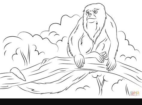 Dibujo de Mono Aullador Sobre un Árbol para colorear: Dibujar y Colorear Fácil, dibujos de Un Mono En Un Árbol, como dibujar Un Mono En Un Árbol para colorear e imprimir