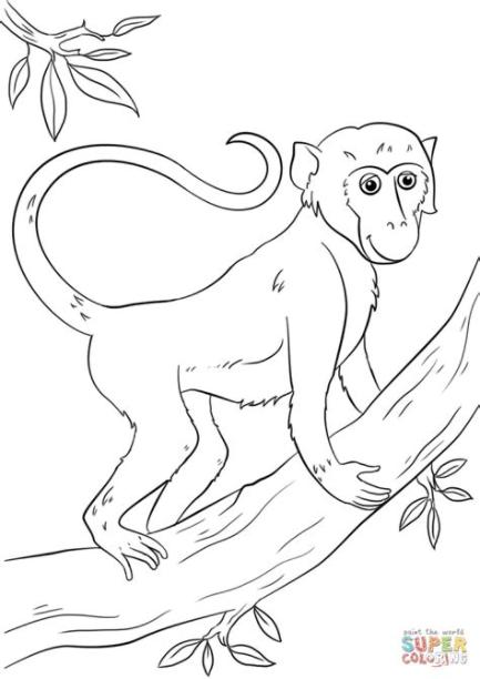 Imagenes Para Colorear De Un Chango: Aprende a Dibujar y Colorear Fácil con este Paso a Paso, dibujos de Un Mono En Un Árbol, como dibujar Un Mono En Un Árbol para colorear
