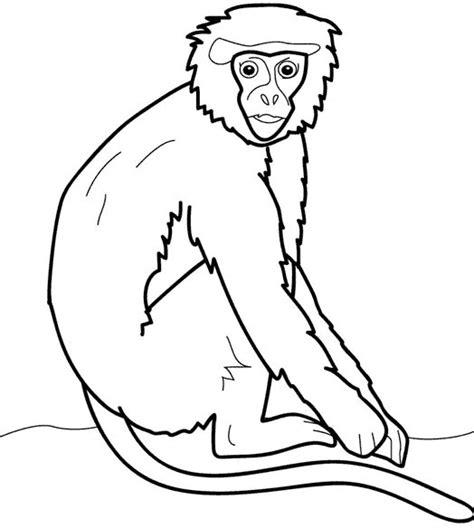 Mono Titi Para Colorear: Aprender como Dibujar y Colorear Fácil, dibujos de Un Mono Titi, como dibujar Un Mono Titi para colorear e imprimir
