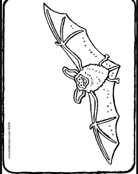 un murciélago - kiddicolour: Dibujar y Colorear Fácil con este Paso a Paso, dibujos de Un Murcielago Para Niños, como dibujar Un Murcielago Para Niños para colorear