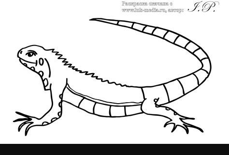 Dibujos para colorear de un lagarto: Aprende a Dibujar y Colorear Fácil con este Paso a Paso, dibujos de Un Niño Un Lagarto, como dibujar Un Niño Un Lagarto para colorear e imprimir