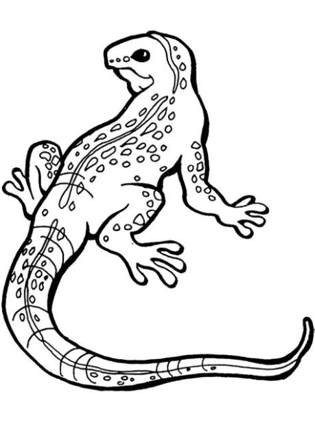 Dibujos infantiles de lagartos para colorear: Aprender a Dibujar Fácil con este Paso a Paso, dibujos de Un Niño Un Lagarto, como dibujar Un Niño Un Lagarto para colorear