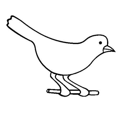 Dibuix de Ócell 4 per Pintar on-line - Dibuixos.cat: Aprender como Dibujar Fácil con este Paso a Paso, dibujos de Un Ocell, como dibujar Un Ocell para colorear e imprimir