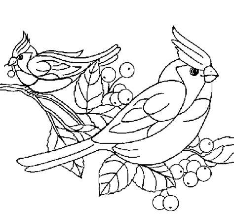 Dibuix de Ocells per Pintar on-line - Dibuixos.cat: Dibujar y Colorear Fácil, dibujos de Un Ocell, como dibujar Un Ocell para colorear